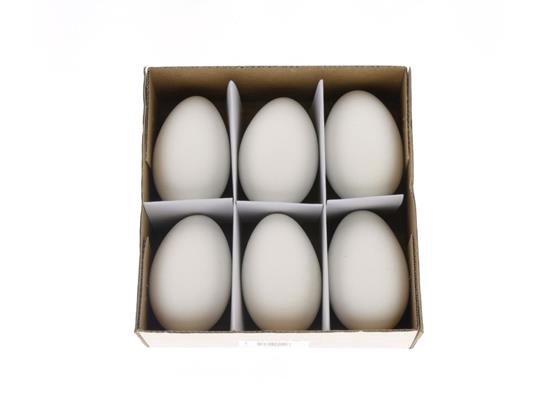 <h4>Egg Goose Xl White Box (6 Pcs)</h4>