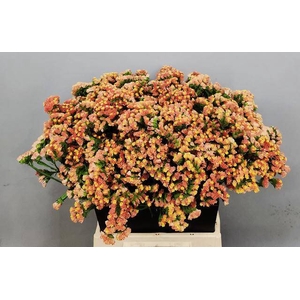 LIM S ROYAL ORANGE