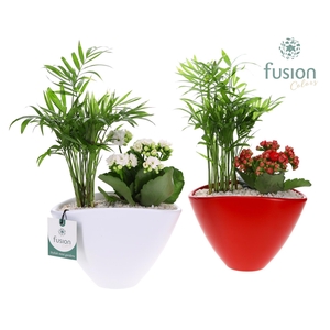 Pot keramiek Oval Small wit en rood met arrangement