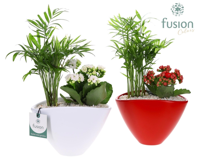 <h4>Pot keramiek Oval Small wit en rood met arrangement</h4>