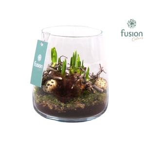 Glas Alzada met Arrangement Narcis