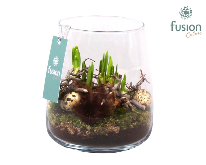 <h4>Glas Alzada met Arrangement Narcis</h4>