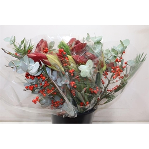 Amaryllus Boeket Bordeaux