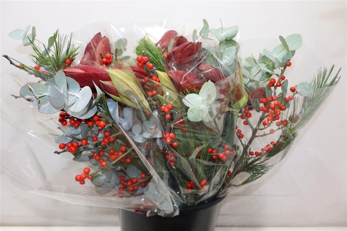 <h4>Amaryllus Boeket Bordeaux</h4>