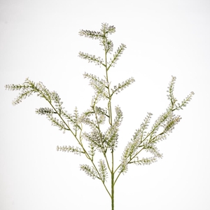 AF Limonium spray L100cm white