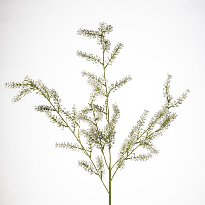 <h4>AF Limonium spray L100cm white</h4>