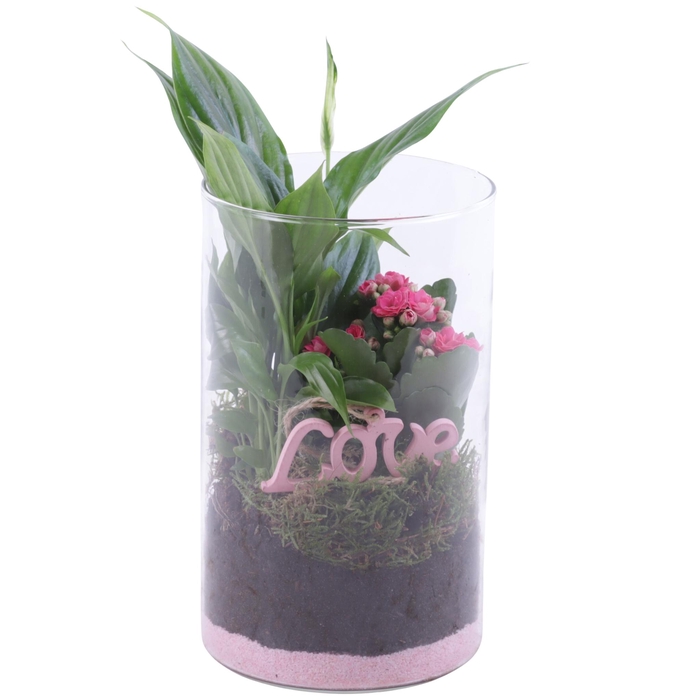 <h4>Womensday Arr. Indoor Glass Vase Cylinder Ø12cm 2PP</h4>