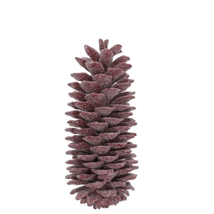 Dennenappels Suger pine wax 35cm