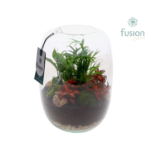 Green Bottle Isabella Large met arrangement