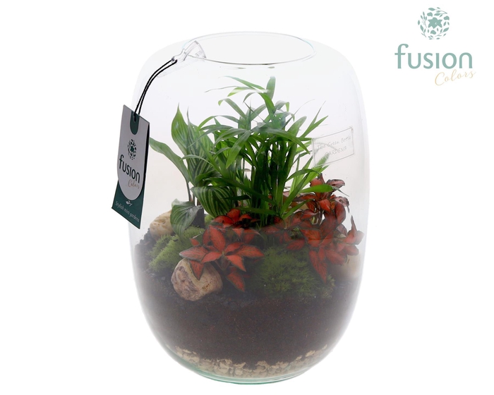 <h4>Green Bottle Isabella Large met arrangement</h4>