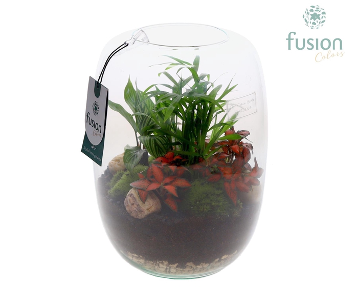 <h4>Green Bottle Isabella Large met arrangement</h4>