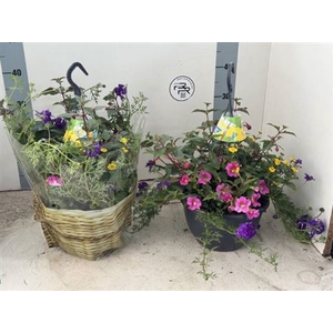 Hanging baskets