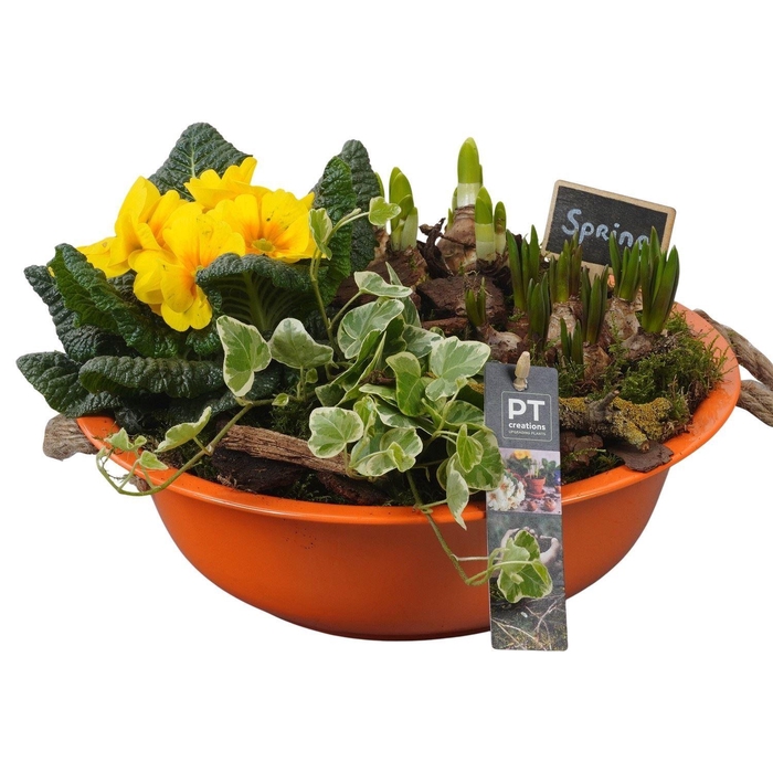 <h4>Arr. Tuinplanten L%</h4>