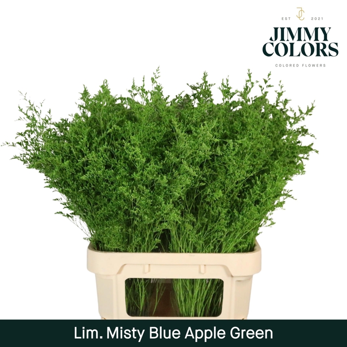 <h4>Lim Misty Blue L90 Apple Green</h4>
