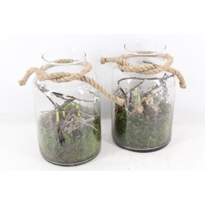 arr4 Bollenmix MB - Glas milano rope 338/6