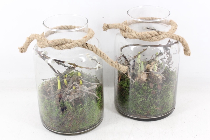 <h4>arr4 Bollenmix MB - Glas milano rope 338/6</h4>