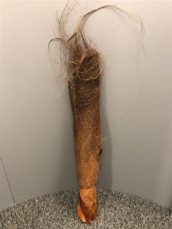 <h4>Dr Corteccia Di Palma</h4>