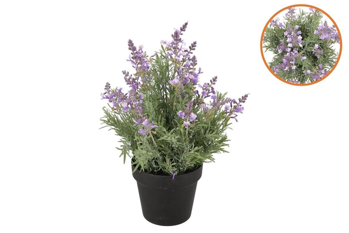 <h4>Silk Lavender Purple In Pot Black L 33x33x49cm</h4>