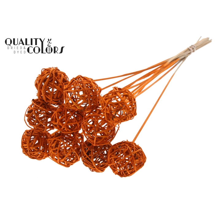 <h4>Bruce Ball 5cm on stem Orange</h4>