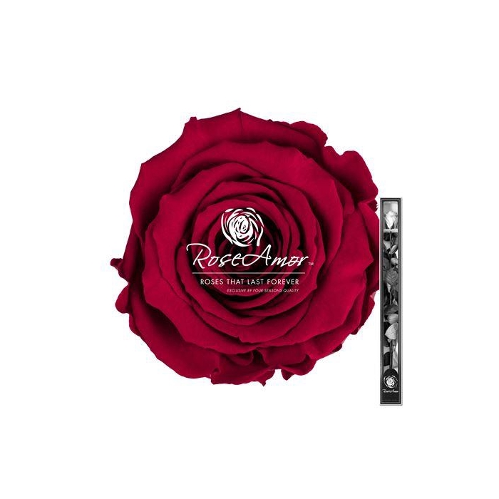 <h4>60cm Stem Pin02</h4>