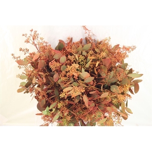 Euca Populus Berry 200gr De Luxe P Bunch