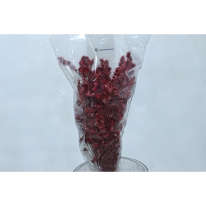 PLANTA SECA ROSINHA VERMELHO DESIDRATADO 50CM