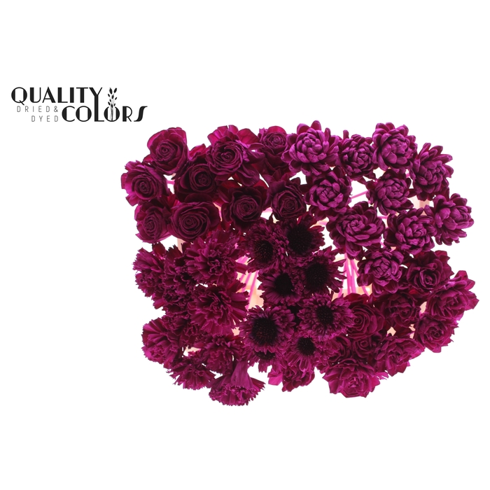 <h4>Shola Flower Mix on stem Lilac</h4>