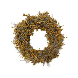 Wreath Solanum D35
