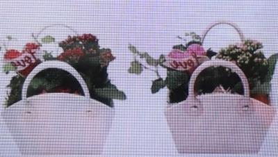 <h4>5469 Hout Tasje Mix</h4>