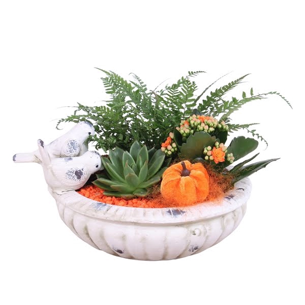 <h4>Autumn Arr. Ceramic Bird Drinking Bowl Ø28cm 3PP</h4>