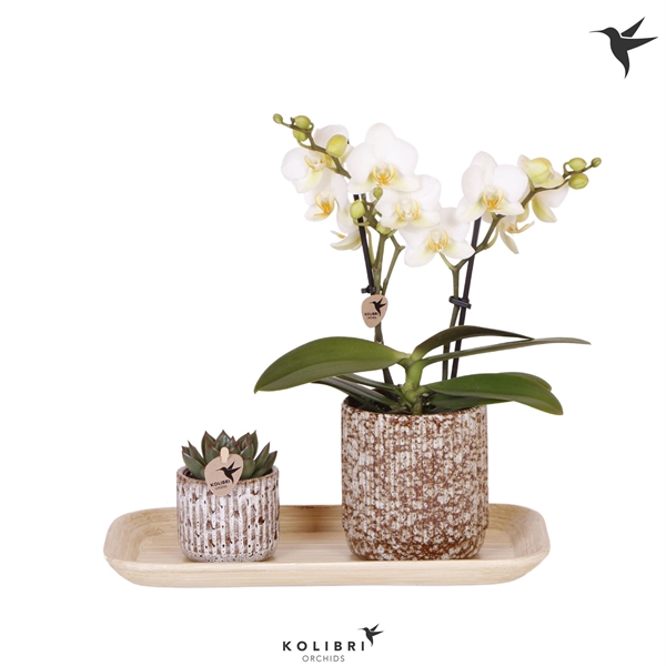 <h4>Kolibri Gift Set small Untamed Nature</h4>