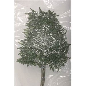 LEDERVAREN EXTRA VACUUM CORE ITA