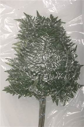 <h4>LEDERVAREN EXTRA VACUUM TAK</h4>