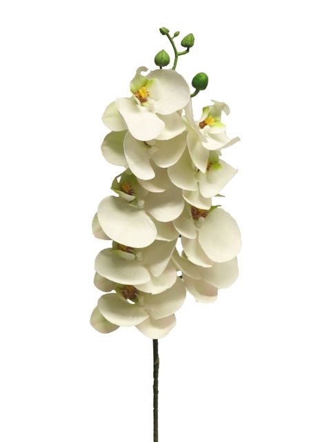 SILK FLOWERS - PHALAENOPSIS SPRAY BORA WHITE 77CM