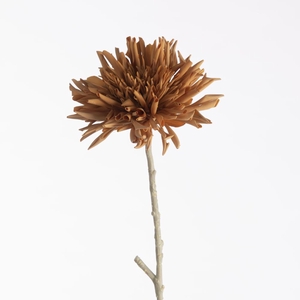 AF Dahlia Dried L61cm D.Yellow