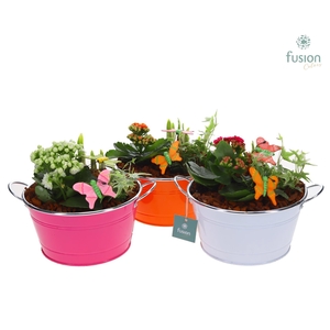 Schaal zink rond Voorjaar Medium met Arrangement