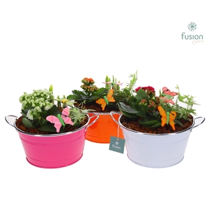 Schaal zink rond Voorjaar Medium met Arrangement