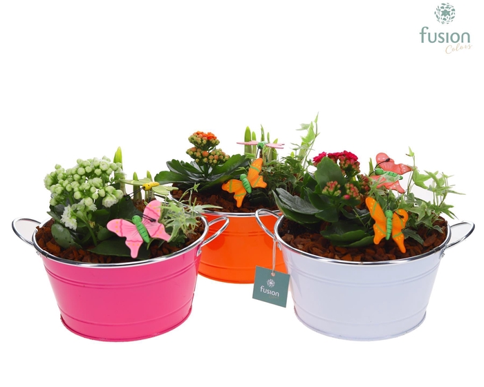 <h4>Schaal zink rond Voorjaar Medium met Arrangement</h4>