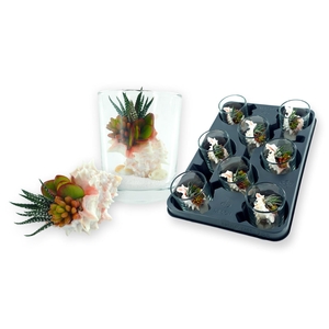 arr3 AD - Murex in glas 208/8