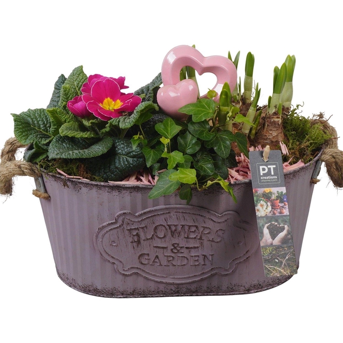 <h4>PTVO3609 Arrangement Valentine Outdoor in metalen schaal</h4>