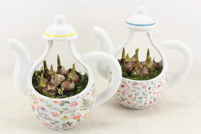 <h4>arr4 Muscari RN - Floral Faye teapot</h4>
