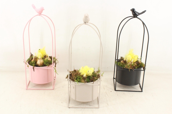 <h4>arr4 Narcis TD - Metaal vogelhuisje mix</h4>