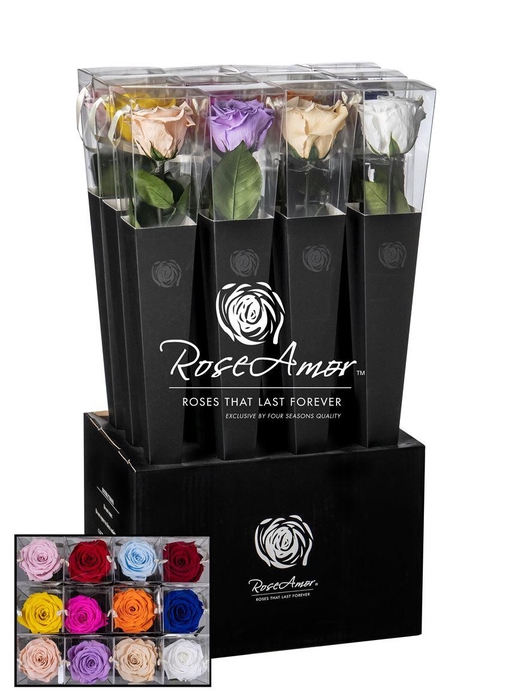 <h4>Lori 50cm Assorted</h4>