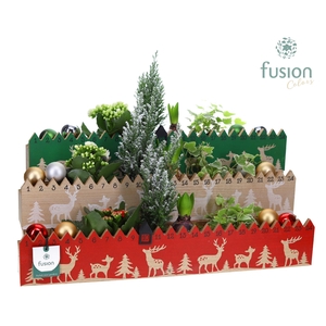 Houten advent planter hout met Arrangement