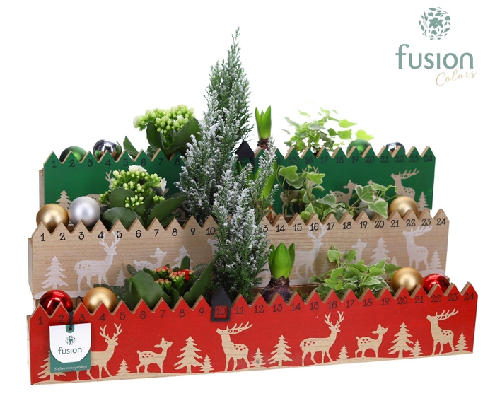 <h4>Houten advent planter hout met Arrangement</h4>