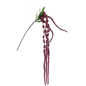 Amaranthus Pink Dark FL440222DPK