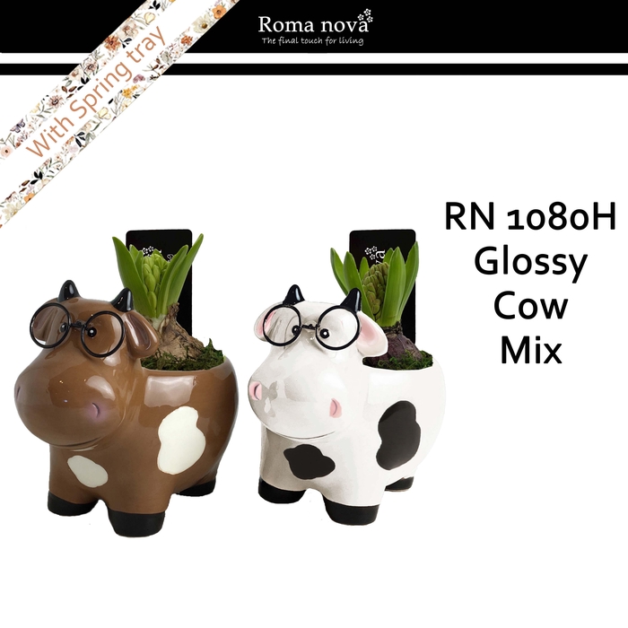 <h4>1080H - Glossy Cow mix (Hyacint)</h4>