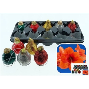 arr8 Bloembol Hippeastrum Wax & Glitter