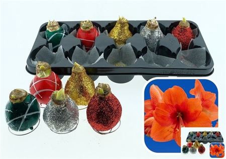<h4>Bloembol Hippeastrum Wax & Glitter</h4>