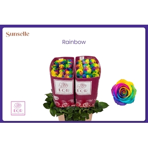 R GR OV KLB RAINBOW H%